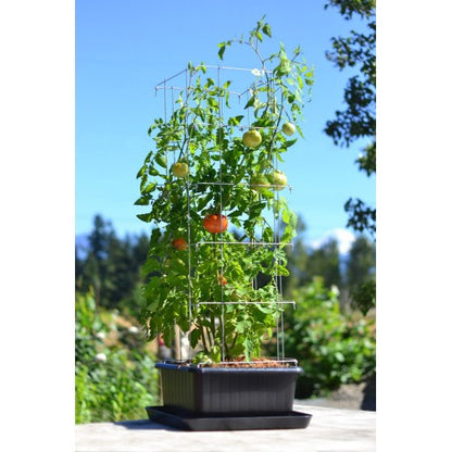 Metro-Grower™ Basic - 6 gallon