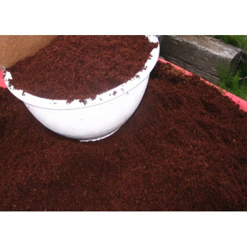 Coconut Coir