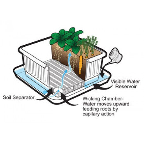 Metro-Grower™ Basic - 6 gallon